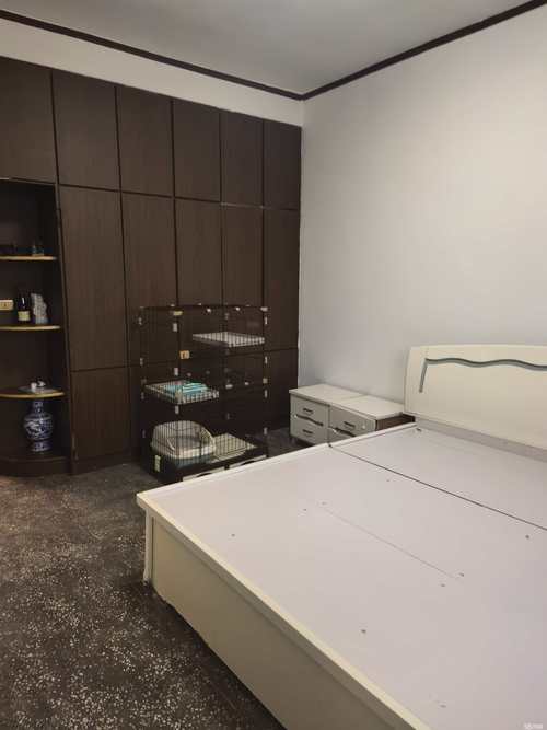 介休最新租房信息2025