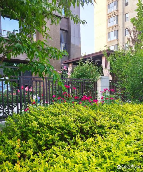 乌鲁木齐景秀小区 社区