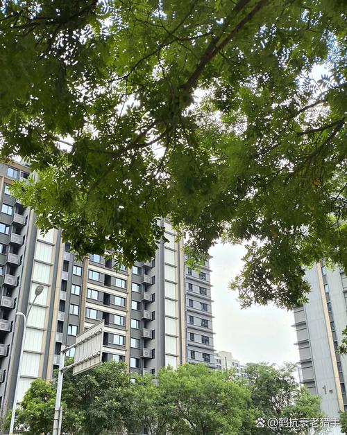 大石坝大庆村e区高层二手房价格