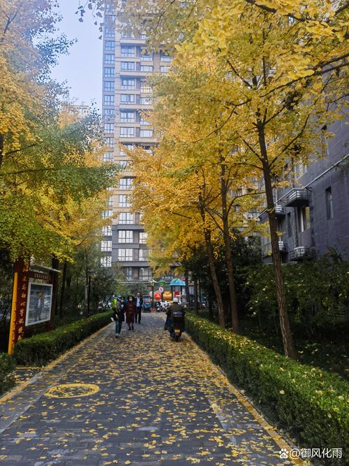 沈阳 胜利街道红星社区