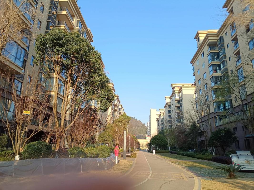 成都 兰桂 视频 社区