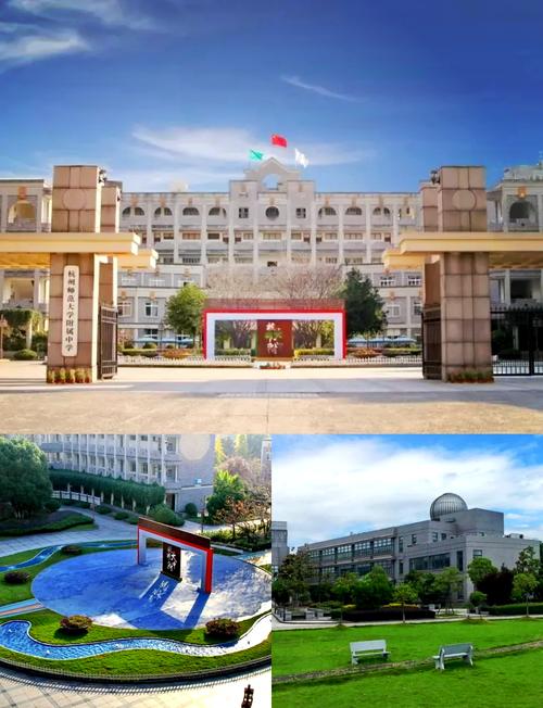 杭州 中学 对口 社区