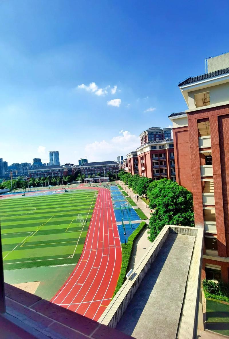 蓝光sofa社区 学校