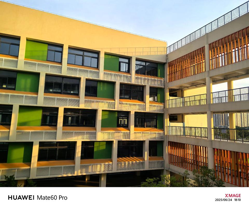 蓝光sofa社区 学校