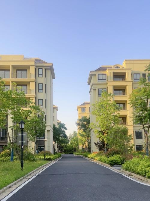 游仙区 温馨小区 社区