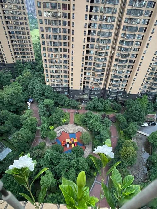 游仙区 温馨小区 社区