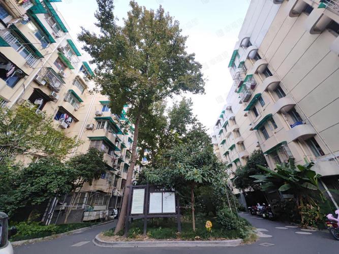 杭州红梅社区 2025