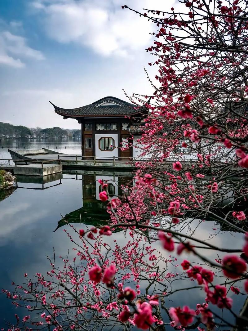 杭州红梅社区 2025