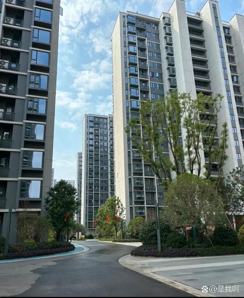 杭州明桂社区 天新社区