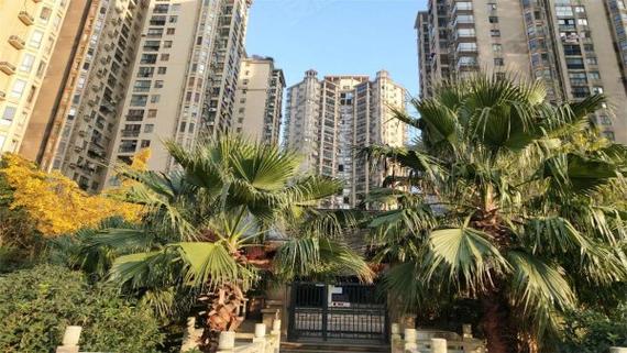 金域南外滩所在社区社区