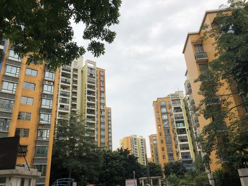 金沙洲新社区是什么社区