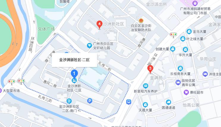 金沙洲新社区是什么社区