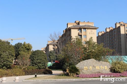 扬子颐和苑属于哪个社区