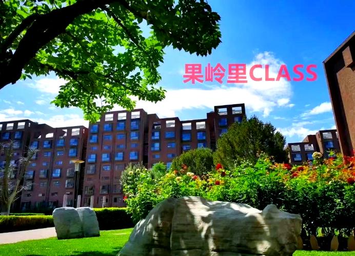 北京望京果岭里高档社区