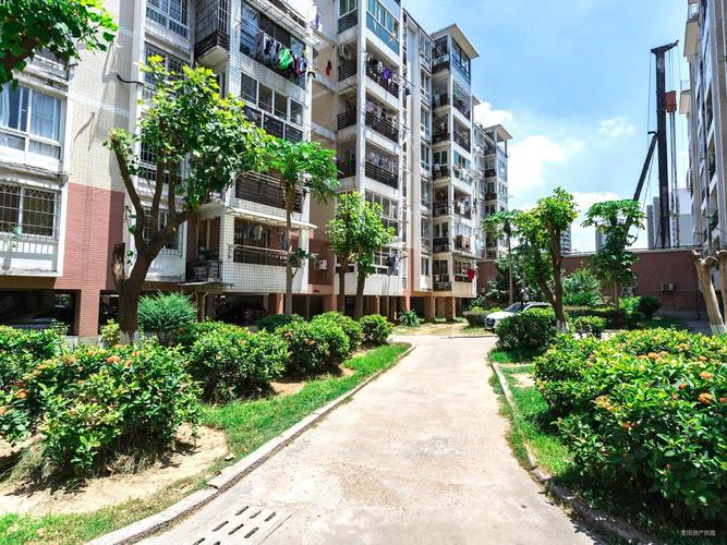 福州金山龙苑B区二手房价格