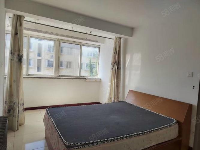 招远租房信息2025年