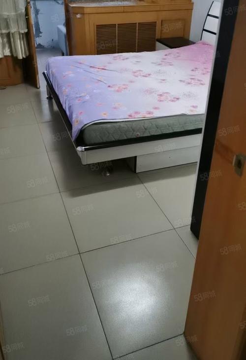 薛家湾附近租房最新信息