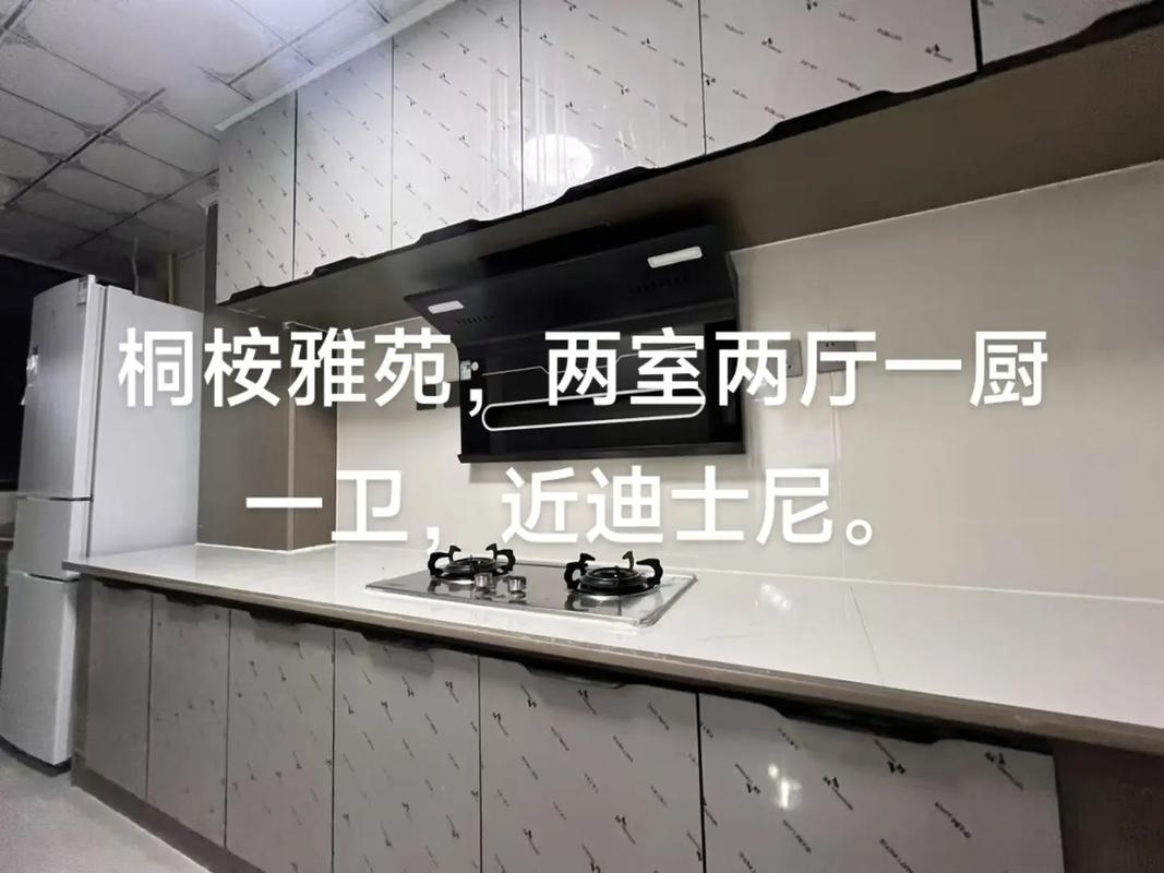 上海迪斯尼周边租房信息