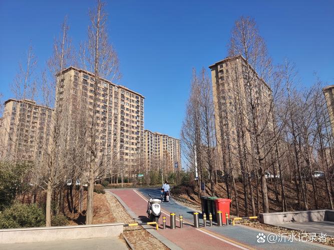 青岛楼山后社区在哪个区