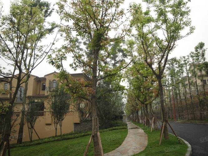 庆隆南山高尔夫国际社区