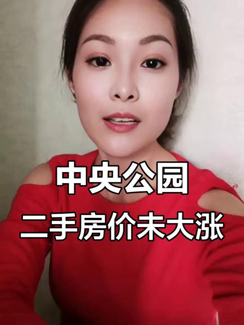 公园中央的二手房价格暴跌