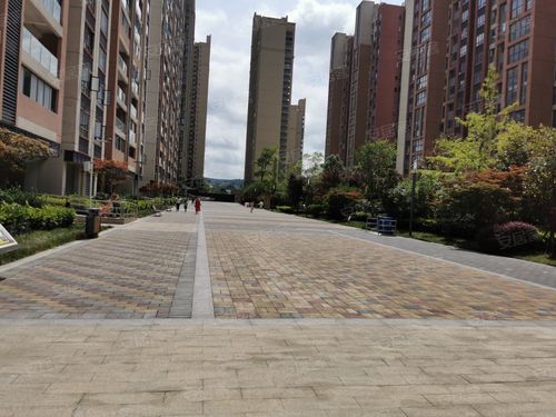 长岭阳光属于哪个社区