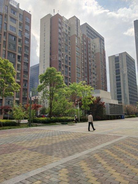 长岭阳光属于哪个社区