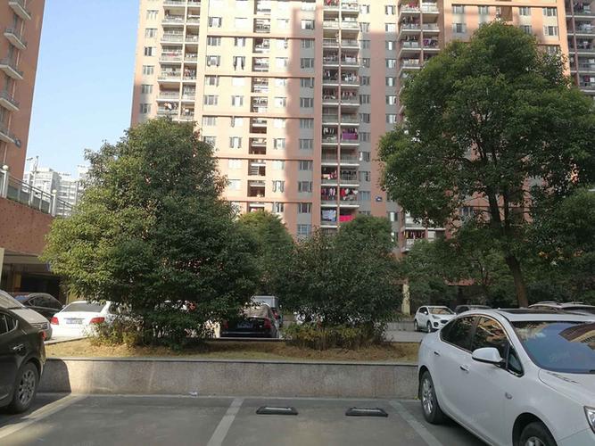 竹叶海嘉园 哪个社区