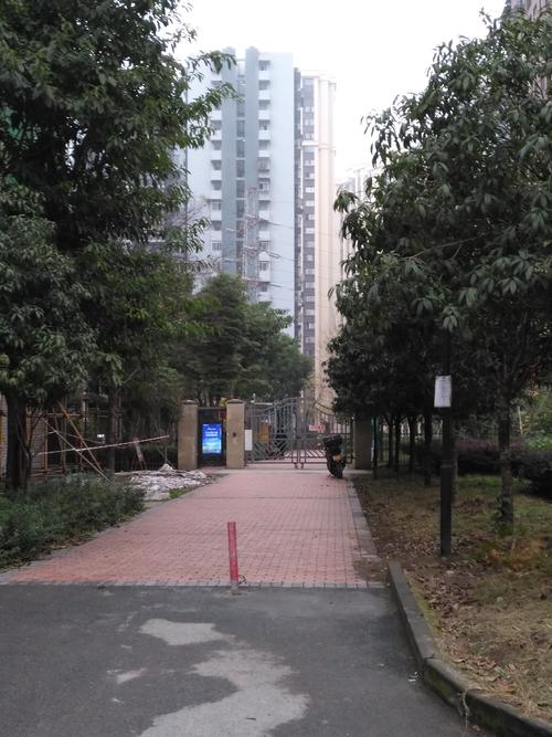 重庆水碾社区建设时间