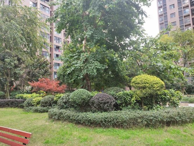 麦田国际社区共有几期