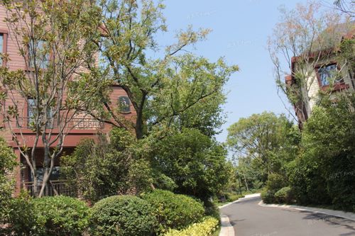 河南信阳金牛国际社区