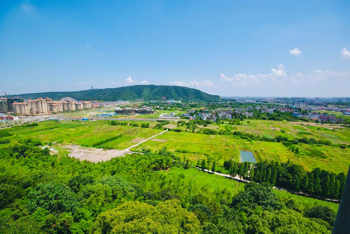 金都夏宫属于那个社区