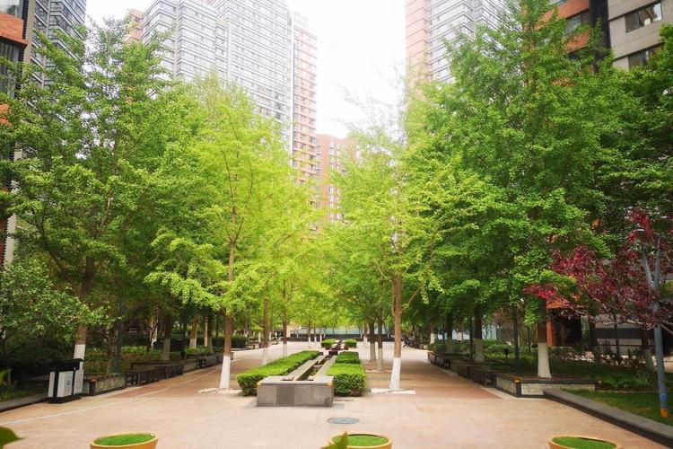 金地国际花园社区在哪