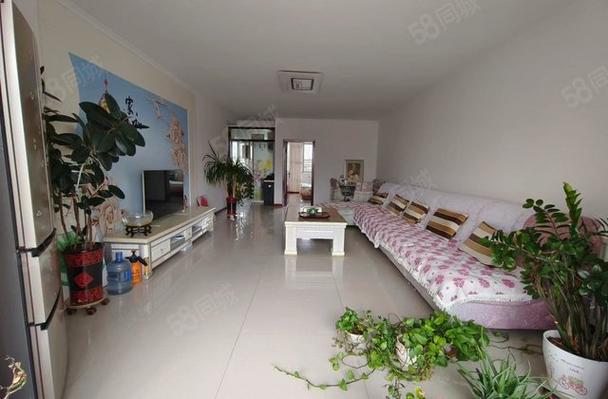 石河子五小区二手房价格