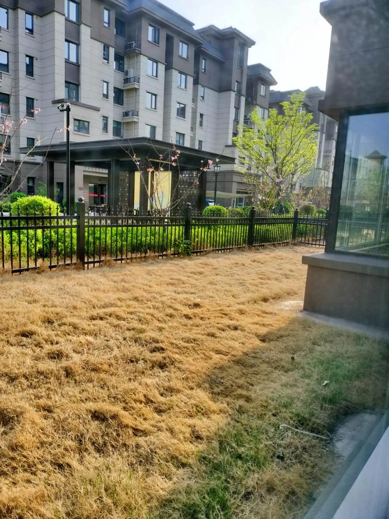 临沭花园社区楼房出售