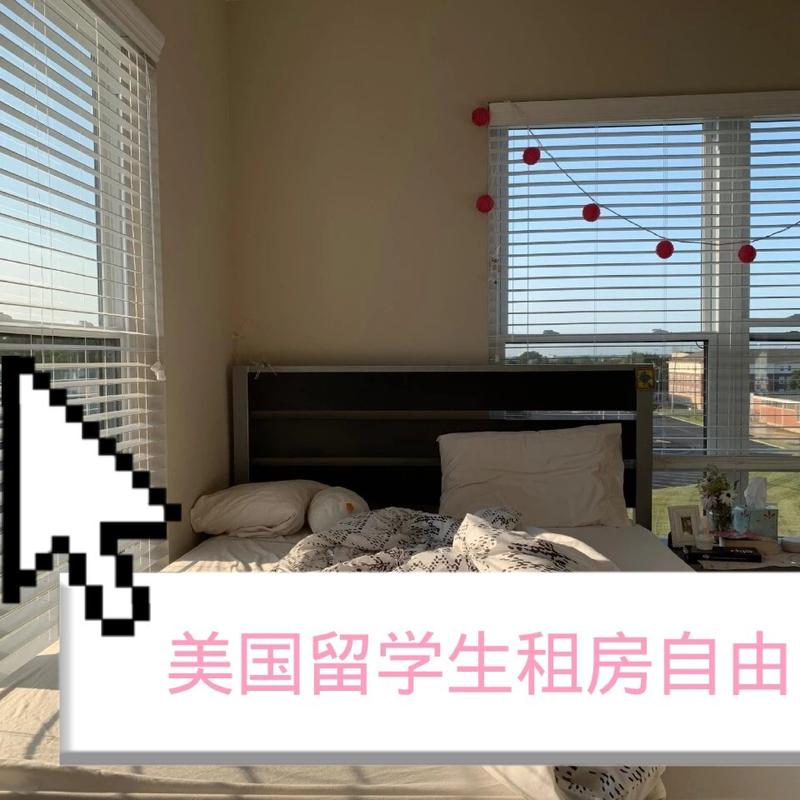 美国 搜索 租房 信息