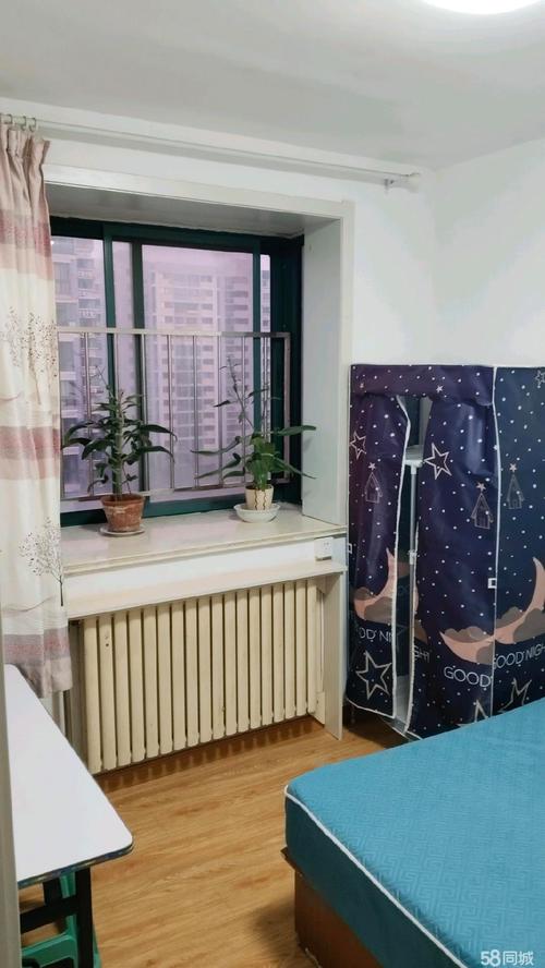 青岛租房紫金园租房信息