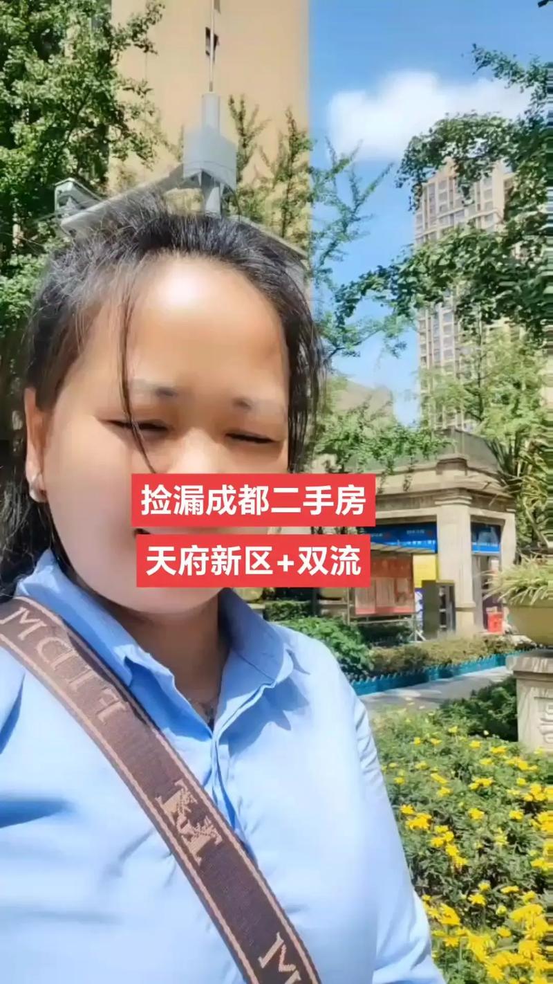 2O17成都二手房价格