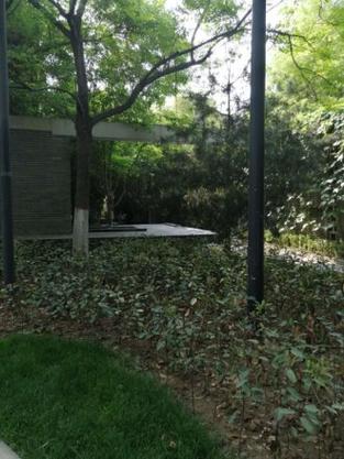 西安华侨城108社区