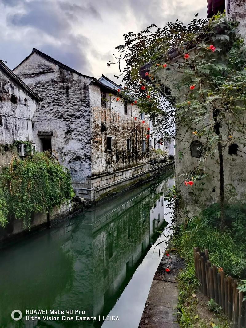 书圣故里属于什么社区