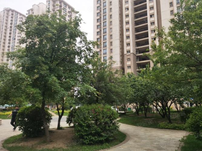 苏家屯碧桂园社区在哪