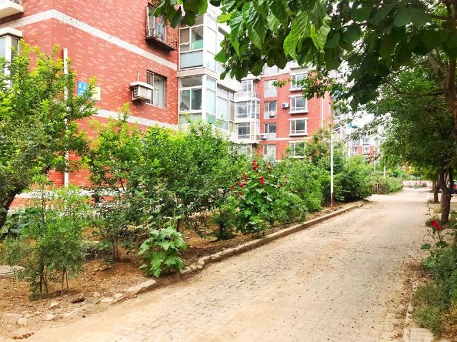 沈阳北美家园那个社区