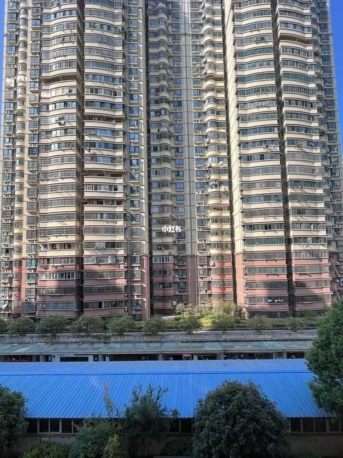 丁怡花园属于哪个社区