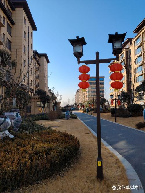 丁怡花园属于哪个社区