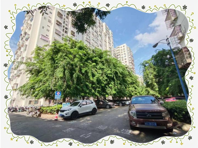 海口世贸属于什么社区