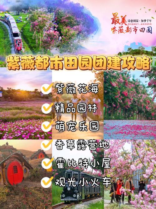 紫薇田园都市社区文化