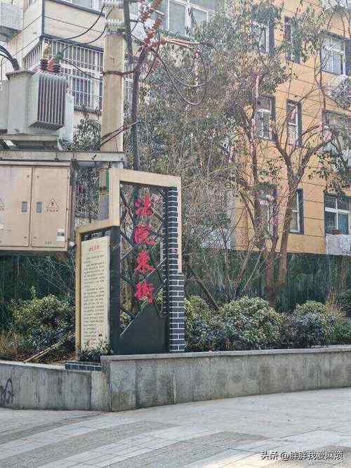 郑州法院东街社区电话