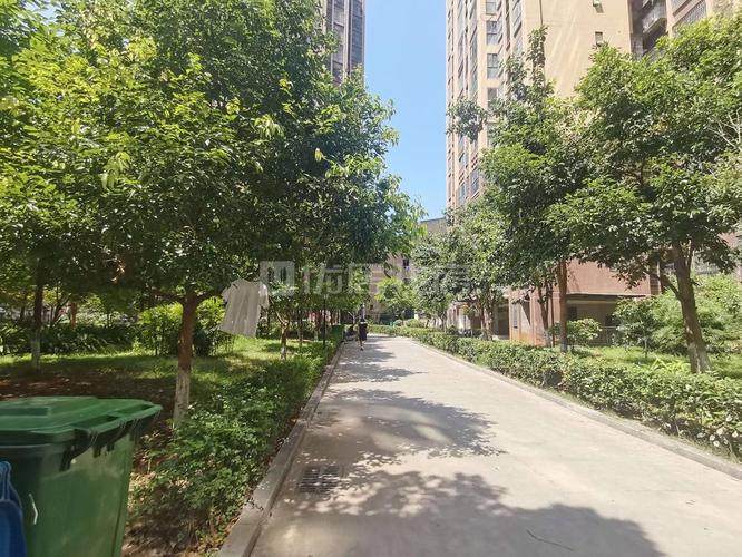 巴中丰泽园属什么社区