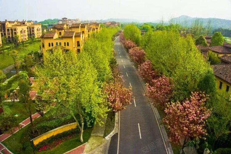 上邦国际社区29.9