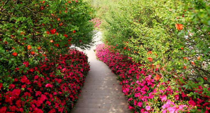 新津县普兴镇二手房价格